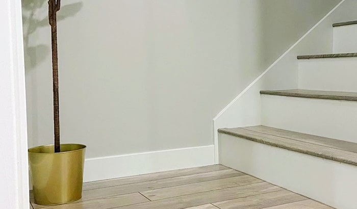 A plant positioned on the basement stairs, highlighting the ongoing renovation process of the stairway area.