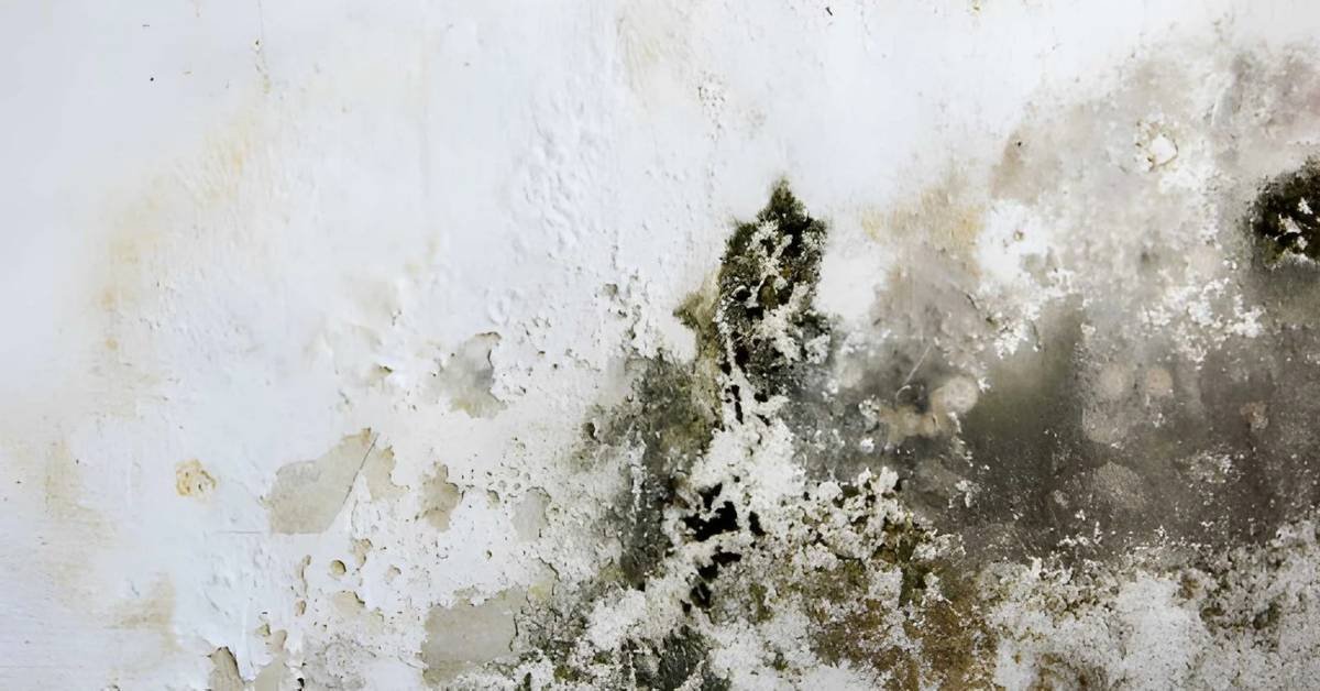 common basement moisture issues in south jordan, ut 1 how to fix basement moisture issues